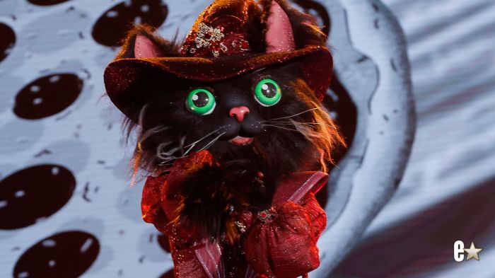 Cat Witch