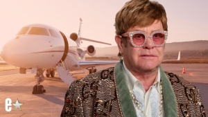 Sir Elton John plane bird strike