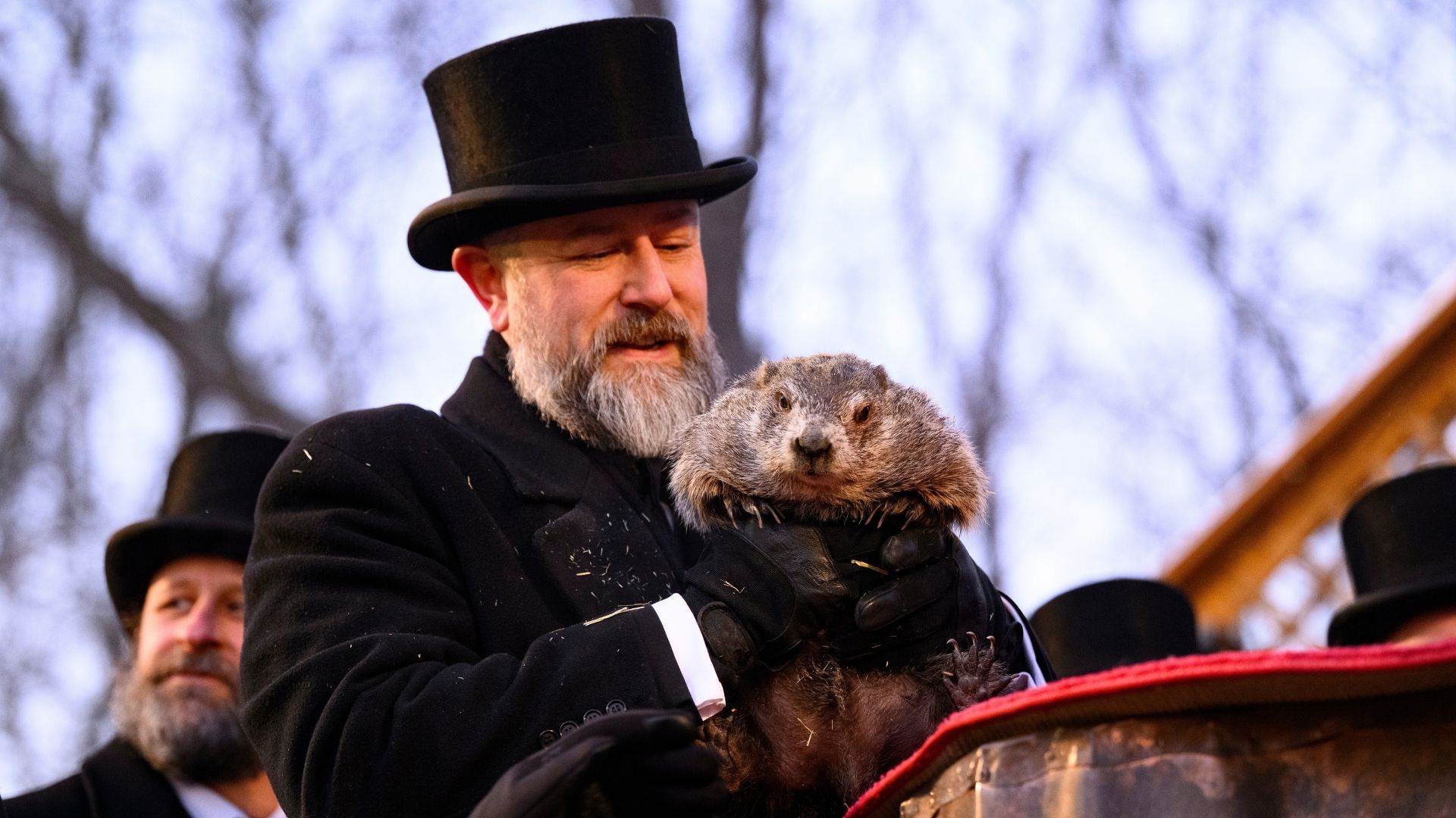 Punxsutawney Phil