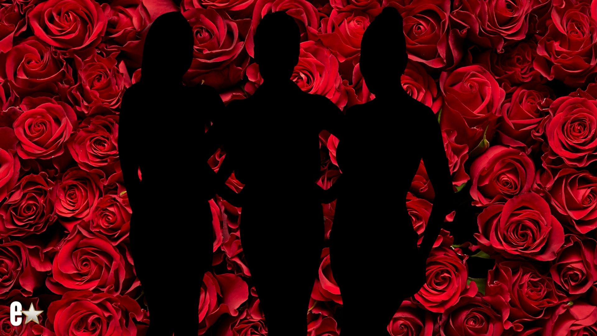 The Bachelor