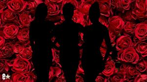 The Bachelor