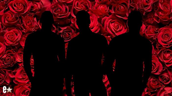The Bachelorette contestants