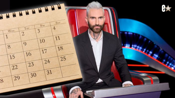 The Voice