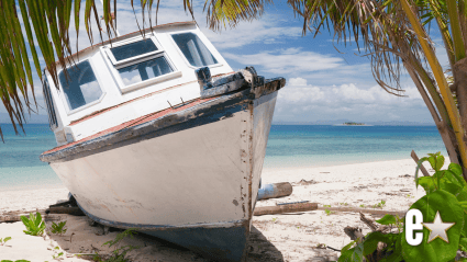 Cruise Ship Runs Aground on ‘Survivor’ Island Days Before Season 51 Filming Begins