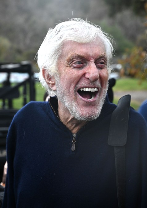Actor Dick Van Dyke attends the One Love Malibu Festival at King Gillette Ranch on December 02, 2018