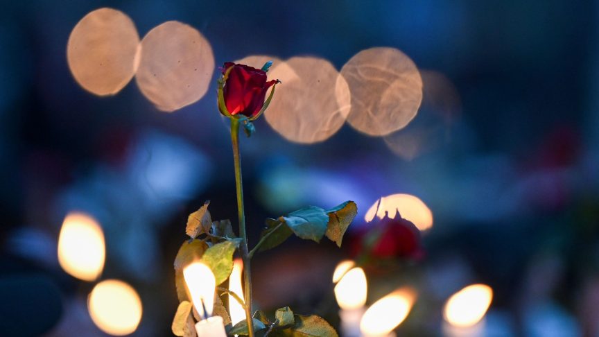 A flower and Candles for Tony Wilson.