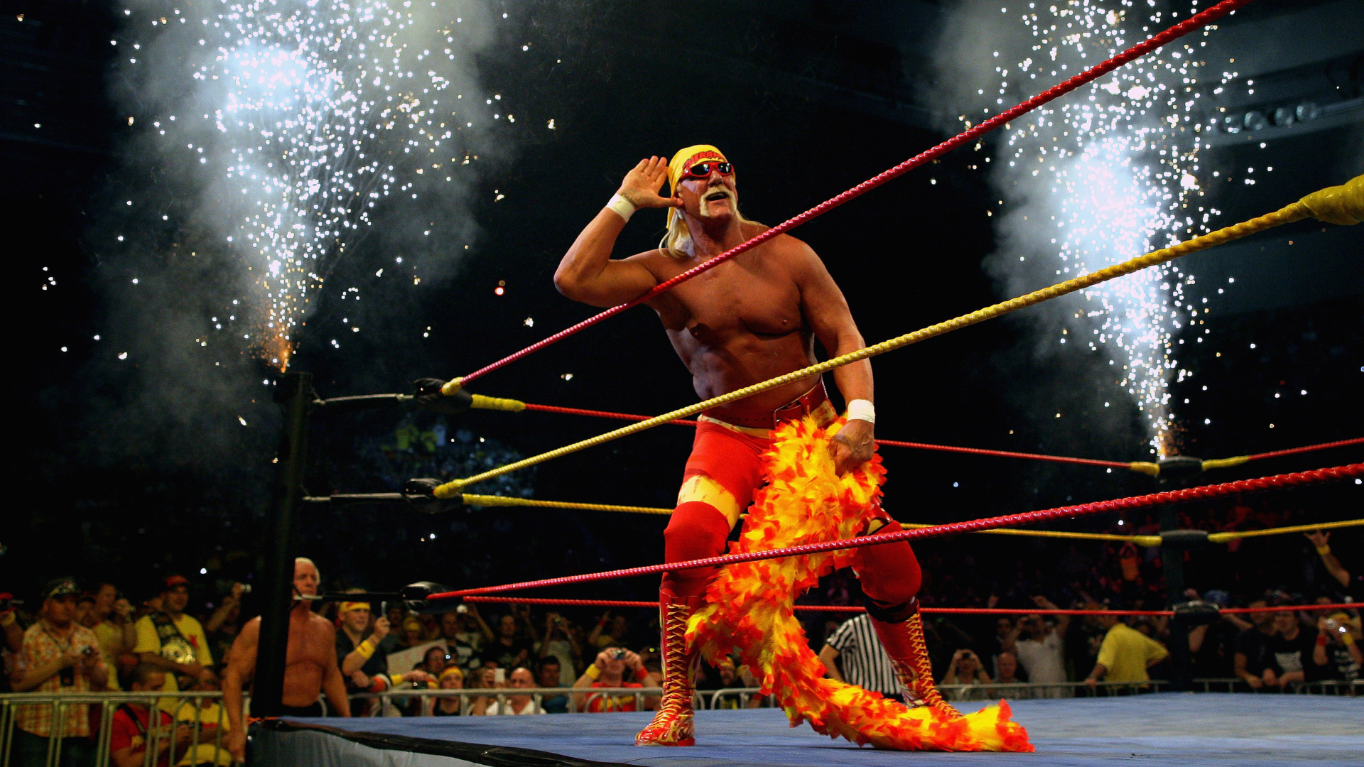 Hulk Hogan’s Late Older Brother Allan Bollea: 5 Fast Facts You Need to Know