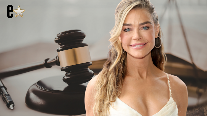 Denise Richards debt ruling