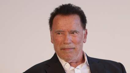 Arnold Schwarzenegger, 78, Enjoys Rare Date Night With Girlfriend Heather Milligan