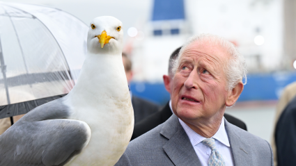 King Charles Had a Hilarious Reaction to a Seagull Pooping on Him
