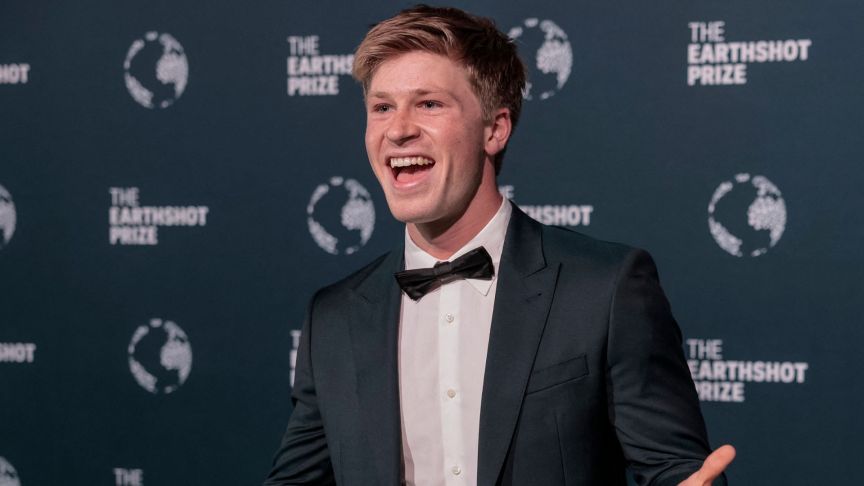 Robert Irwin