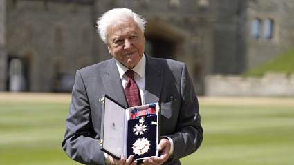 David Attenborough Turns 100 — The Royal Family and Hollywood A-Listers Pay Tribute