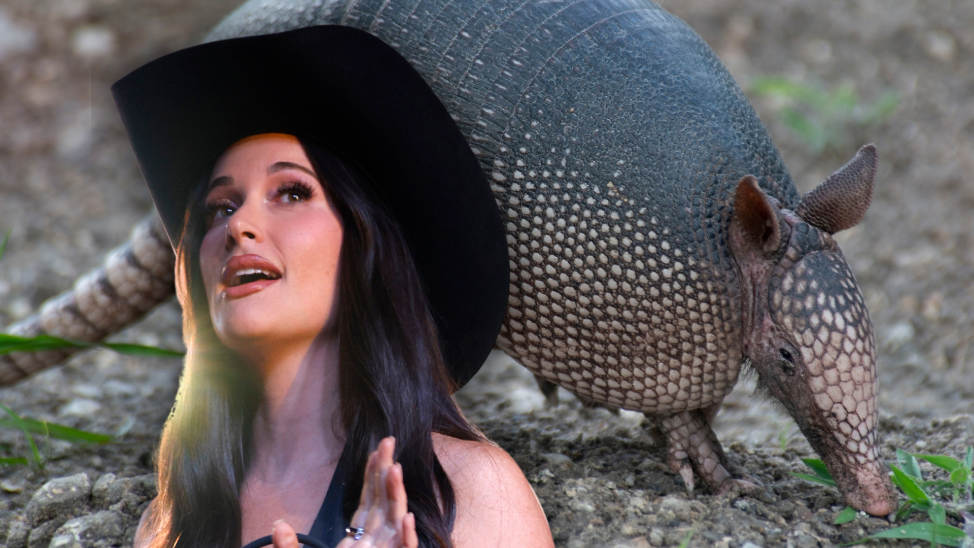 Kacey Musgraves