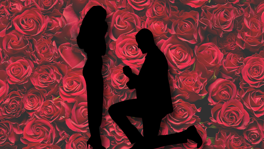 The Bachelor
