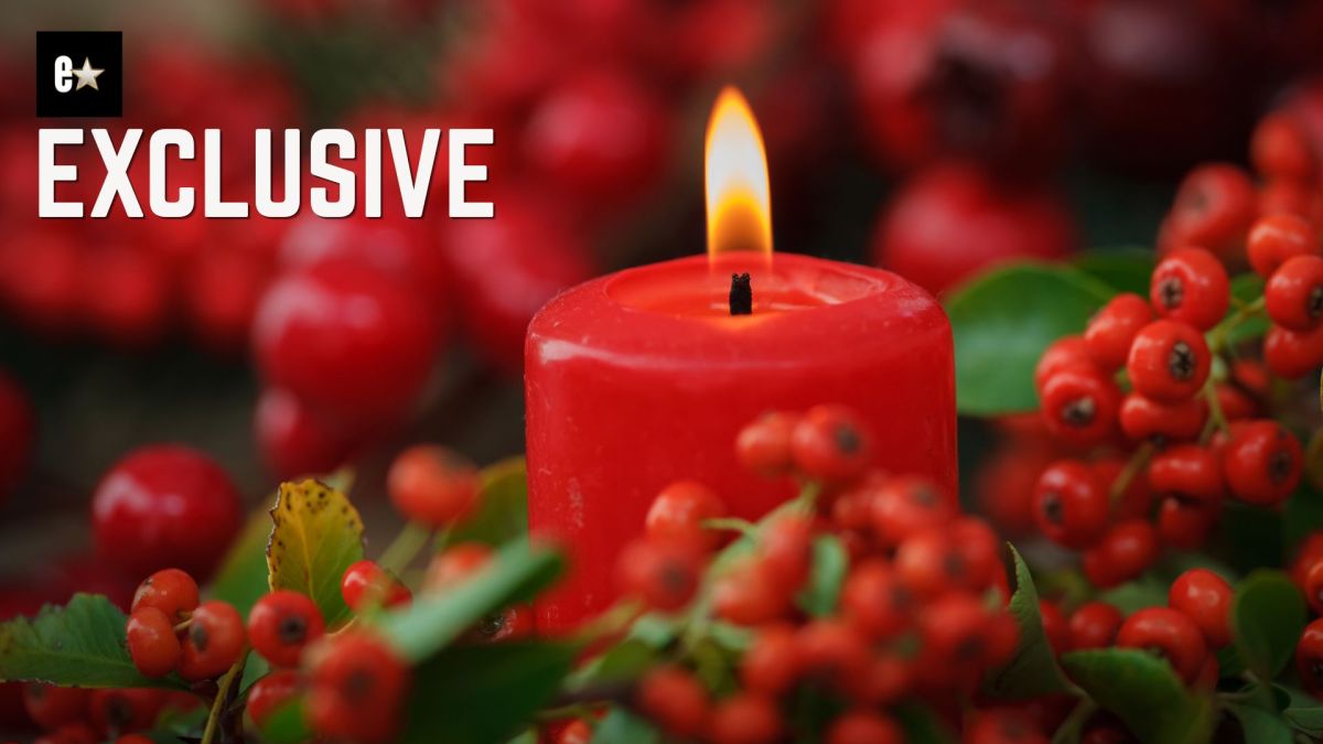 Christmas flowers