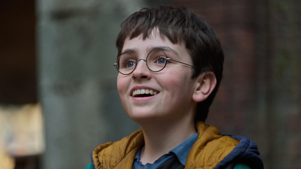 Dominic McLaughlin as Harry Potter