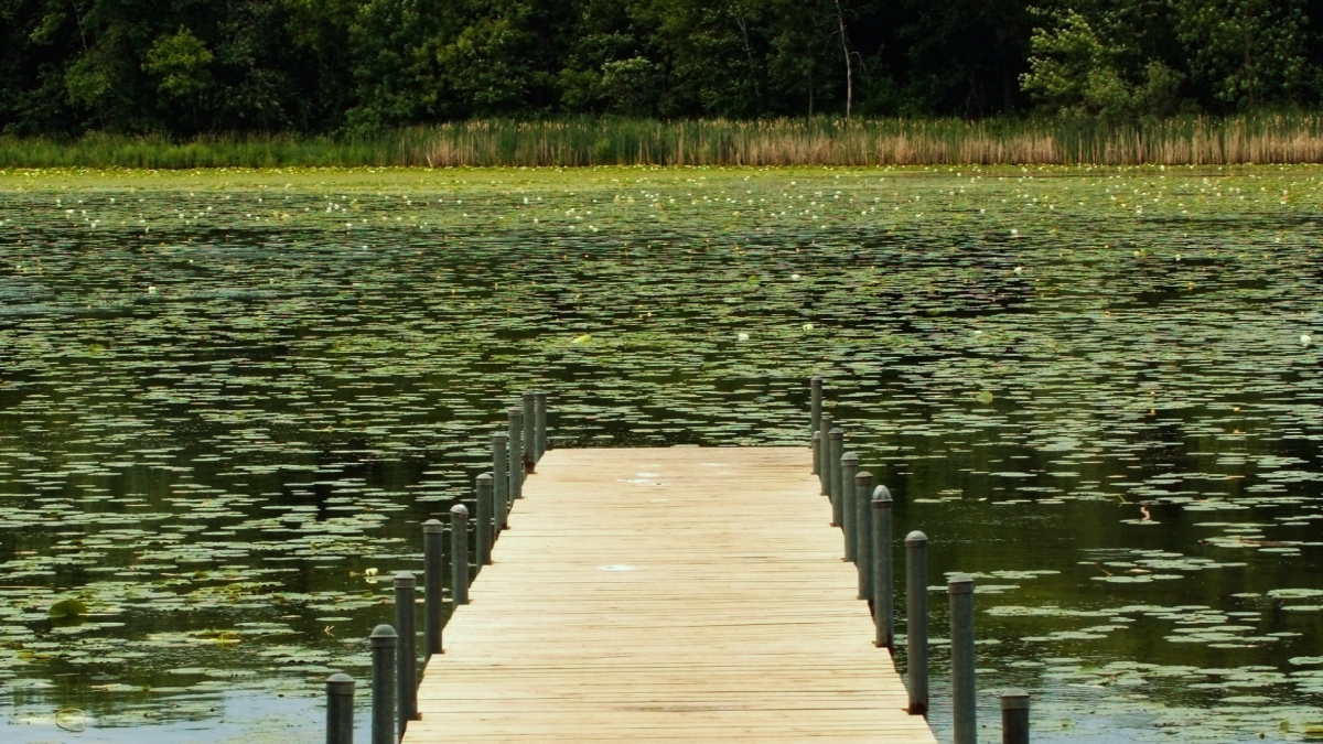 pond dock