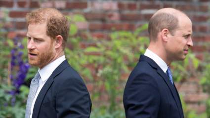 An Update On Harry’s Relationship with William After Harry’s Reunion with King Charles
