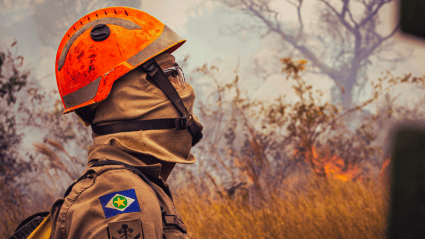 HGTV Star Confirms Their Safety amid Toronto Wildfires, Shares Shocking Video