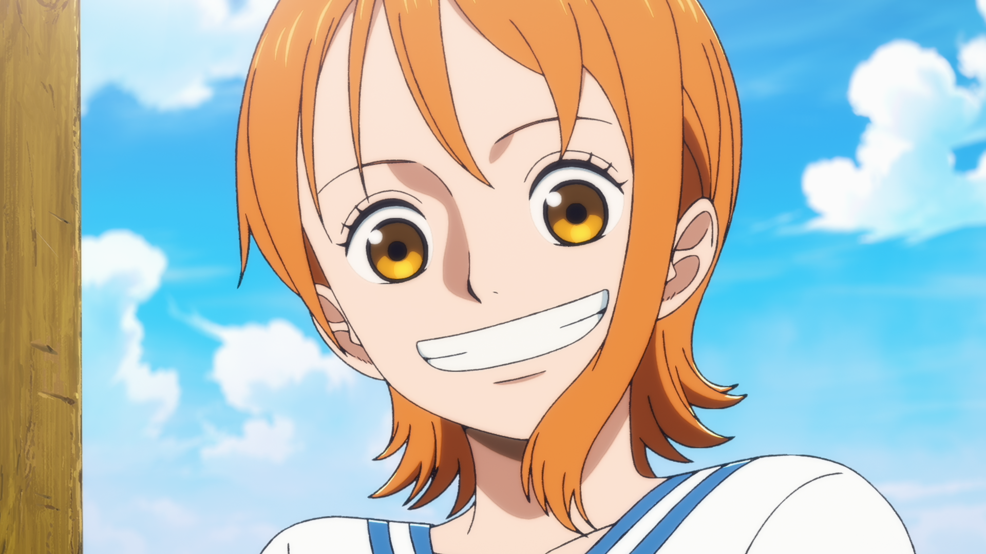 Nami from The One Piece