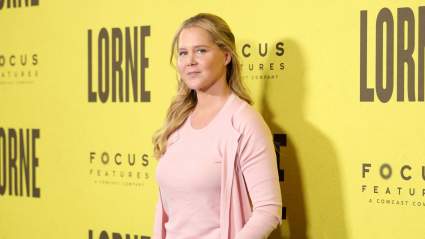 Amy Schumer Shows Off C-Section Scar While Sharing New Bikini Weight Loss Photo