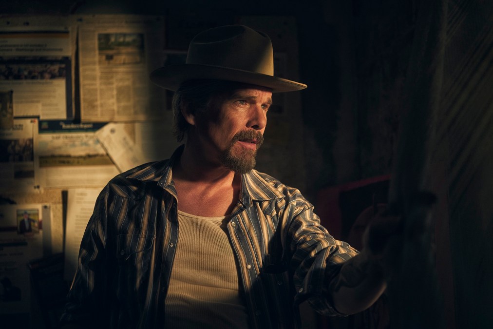 Ethan Hawke in The Lowdown