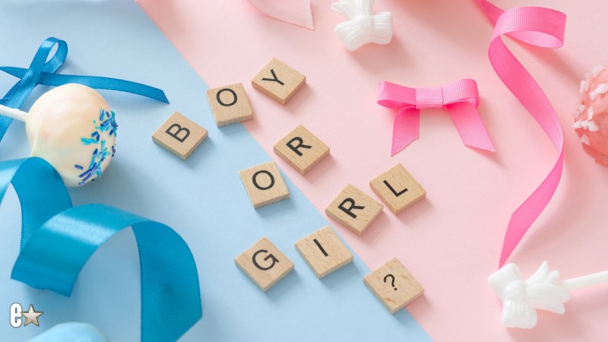 gender reveal