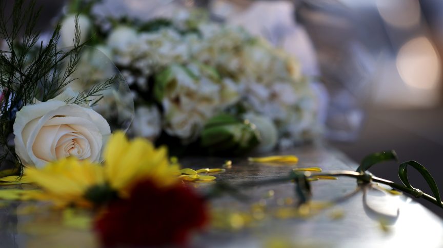 Flowers for Phyllida Law.