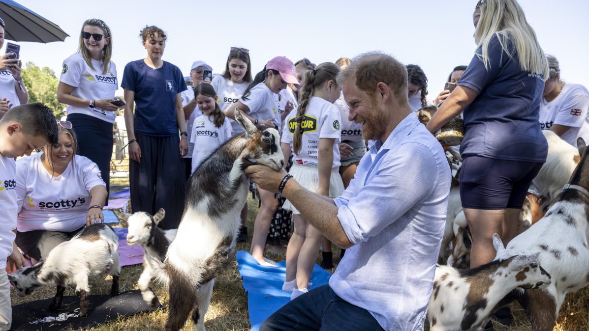 Prince Harry