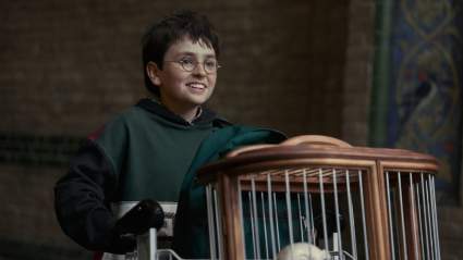 The New House Crests on ‘Harry Potter’ Have Been Revealed — And Fans Have Thoughts