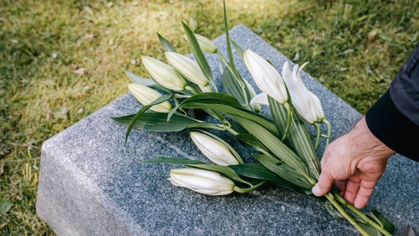 Days of Our Lives