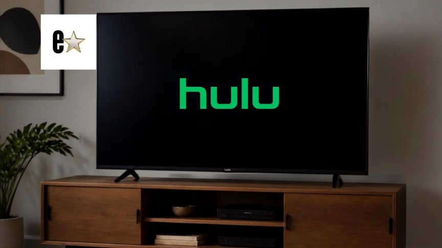 Hulu, Not Suitable for Work