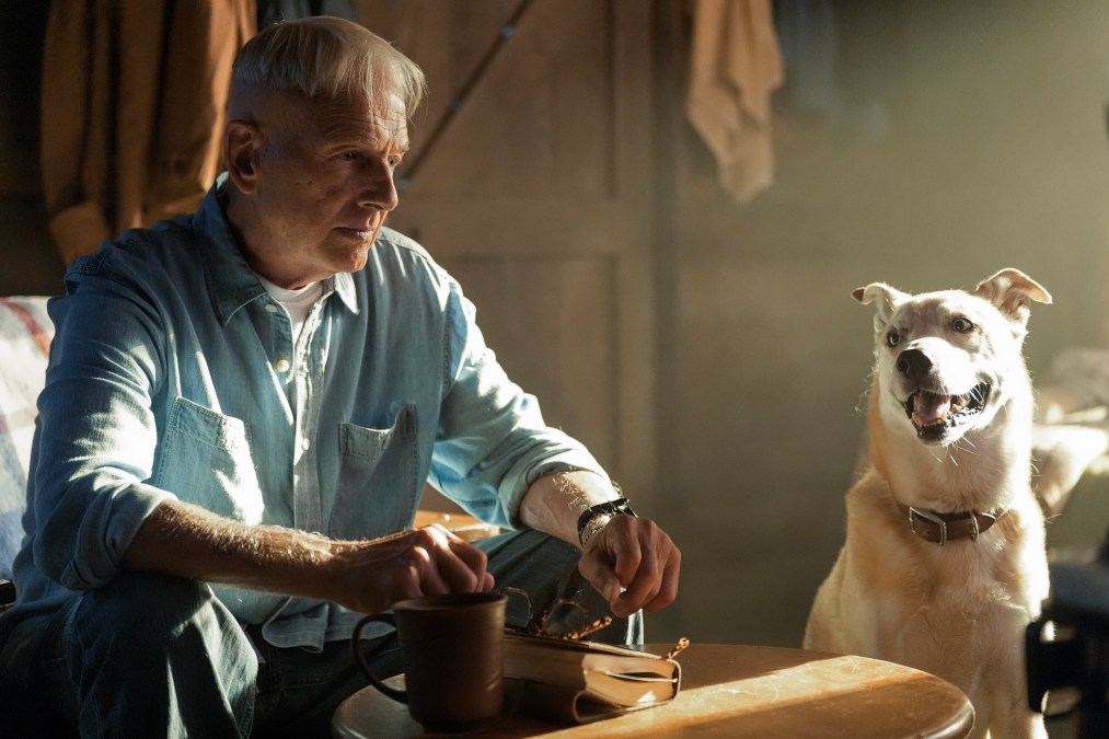 Mark Harmon will be in all 10 episodes of NCIS: Origins Season 3