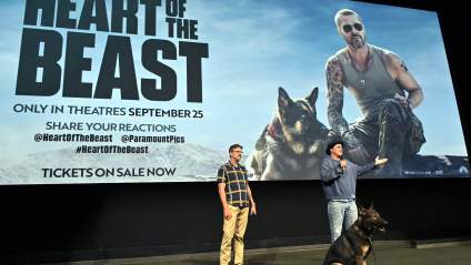 Will ‘Heart of the Beast’ Be on Netflix? Streaming Window Explained