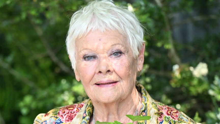 Judi Dench poses for a photo