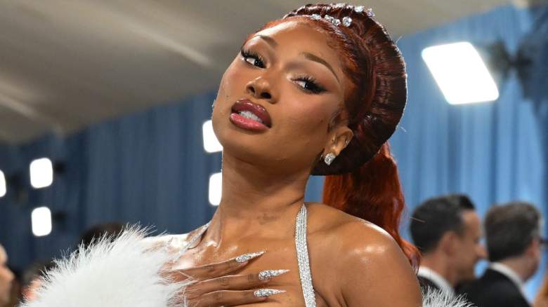 Megan Thee Stallion on the red carpet