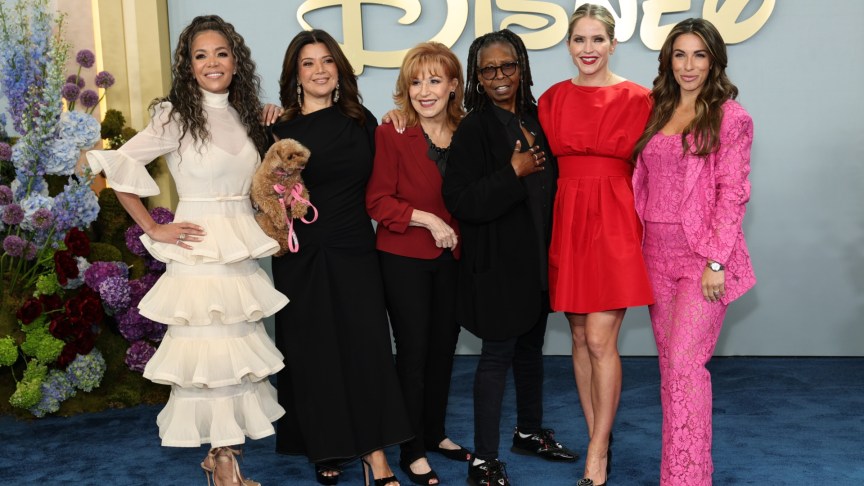 The cast of ABC's 'The View'