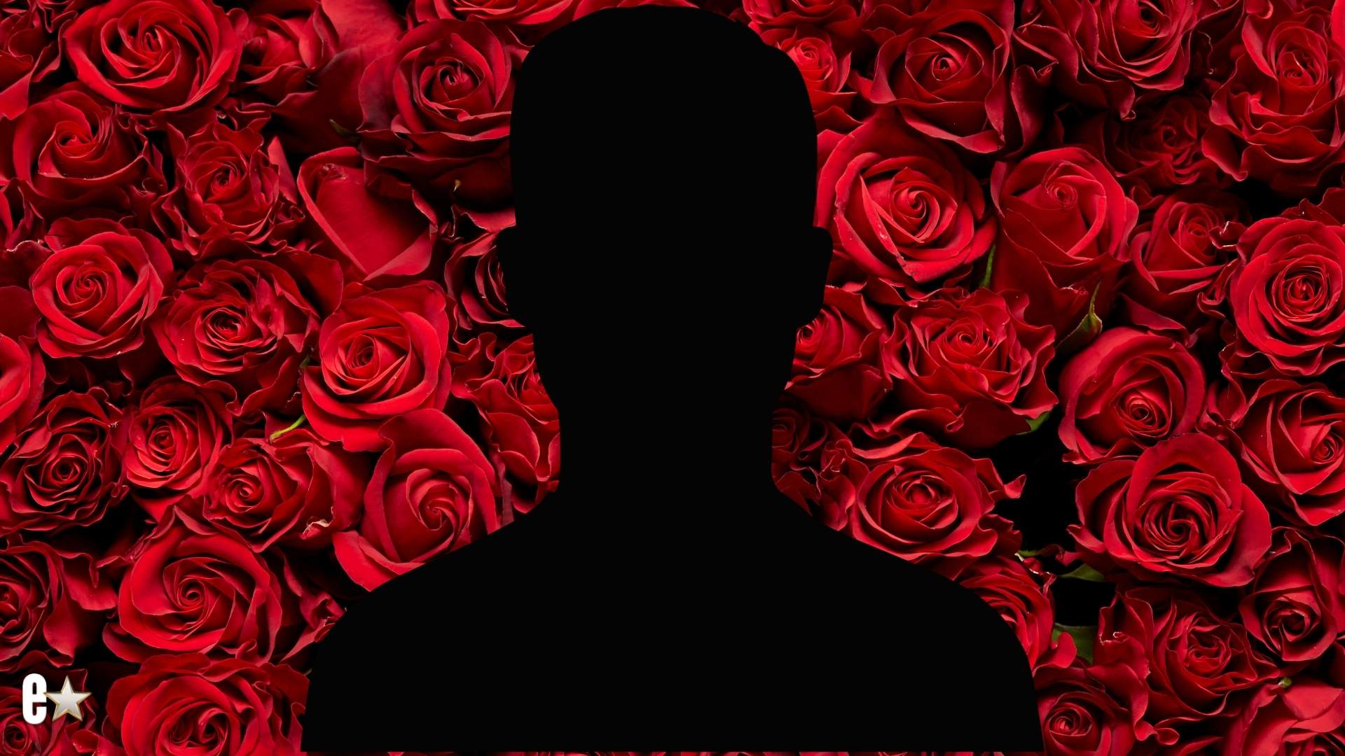 Temporada 30 de ‘The Bachelor’ Eyes Internet Famoso Doutor Mike Varshavski
