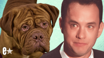 Tom Hanks Says 1989’s ‘Turner & Hooch’ Should Have Saved Its Beloved Dog