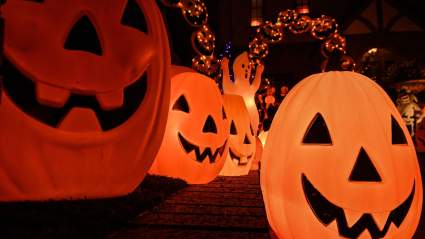 5 Must-See Ultra-Low-Budget Horror Movies to Watch This Spooky Season