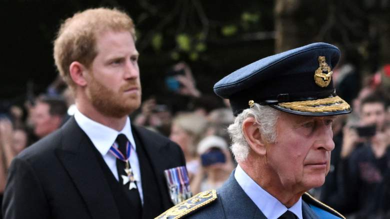 Prince Harry and King Charles