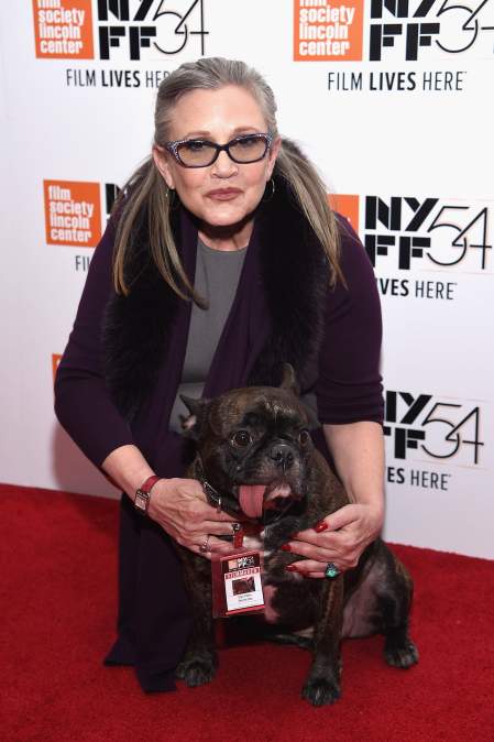Carrie Fisher with her beloved dog Gary in 2016.
