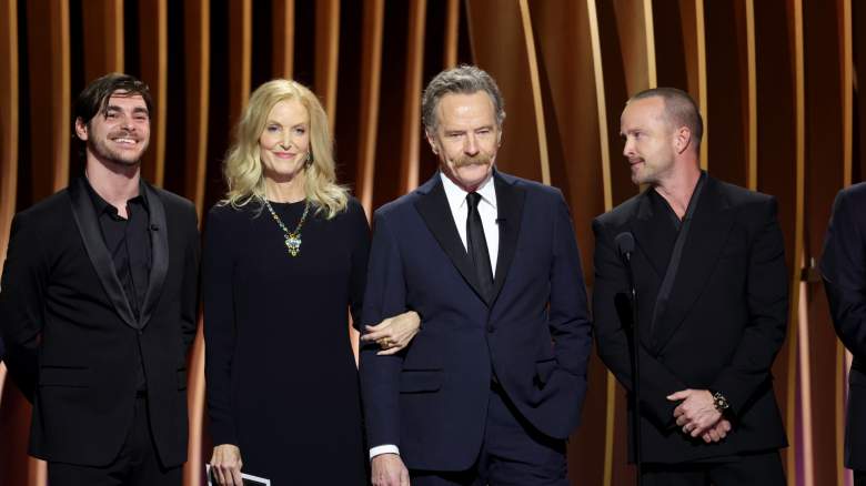 RJ Mitte, Anna Gunn, Bryan Cranston, and Aaron Paul onstage