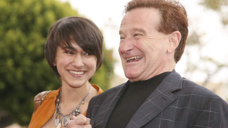 Robin Williams Zelda