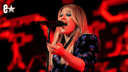 Kelly Clarkson Rocks Sheer Look On Stage in First Appearance Since Shop Incident