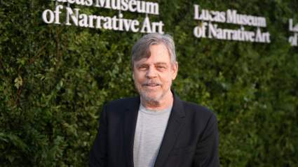 Mark Hamill Unrecognizable in New Role