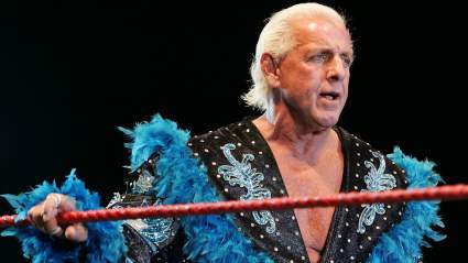 Ric Flair Hospitalized After Fall Hours After Revealing Blood Clot